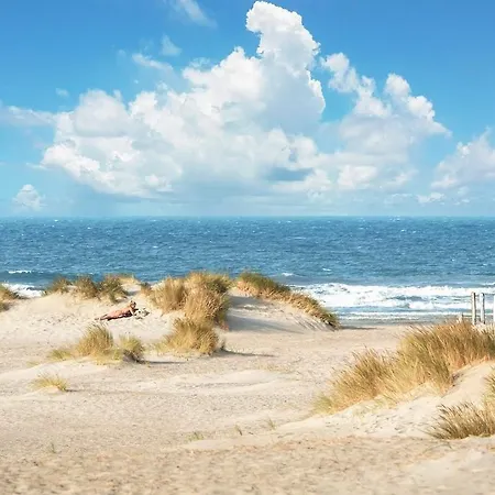 La Santa House De 50 M2 Refait A Neuf Daire Dunkirk