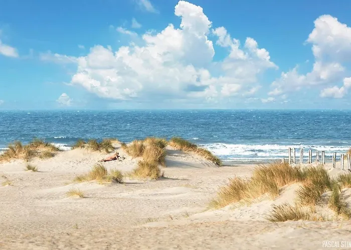 La Santa House De 50 M2 Refait A Neuf דירה Dunkirk